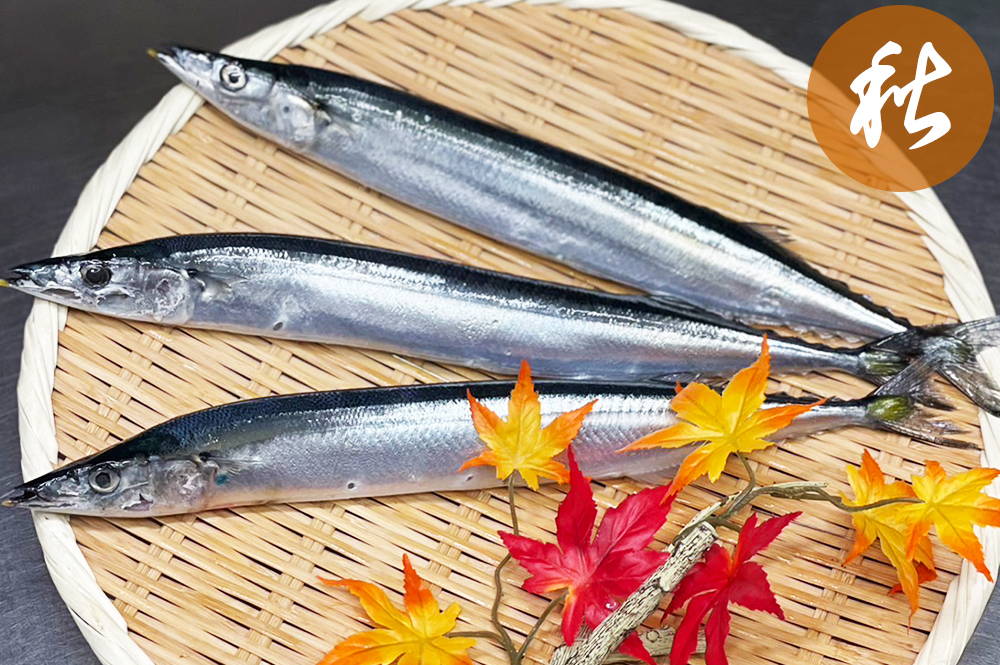 秋刀魚